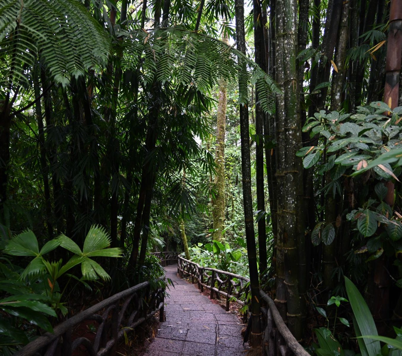 Rondreis Costa Rica, Alajuela, La Paz Waterfall Gardens wandelpad