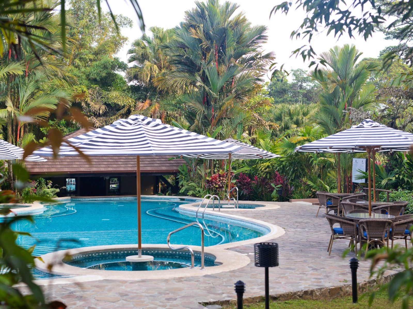 Rondreis Costa Rica, Bijagua, Rio Celeste Hideaway, zwembad