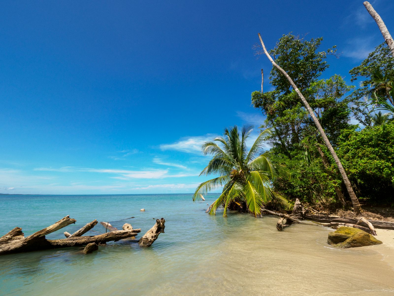 Rondreis Costa Rica, Cahuita National Park, strand met palmbomen
