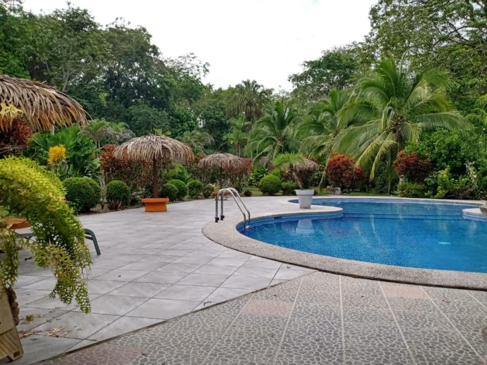 Rondreis Costa Rica, Cahuita, Suizo Loco Lodge, zwembad