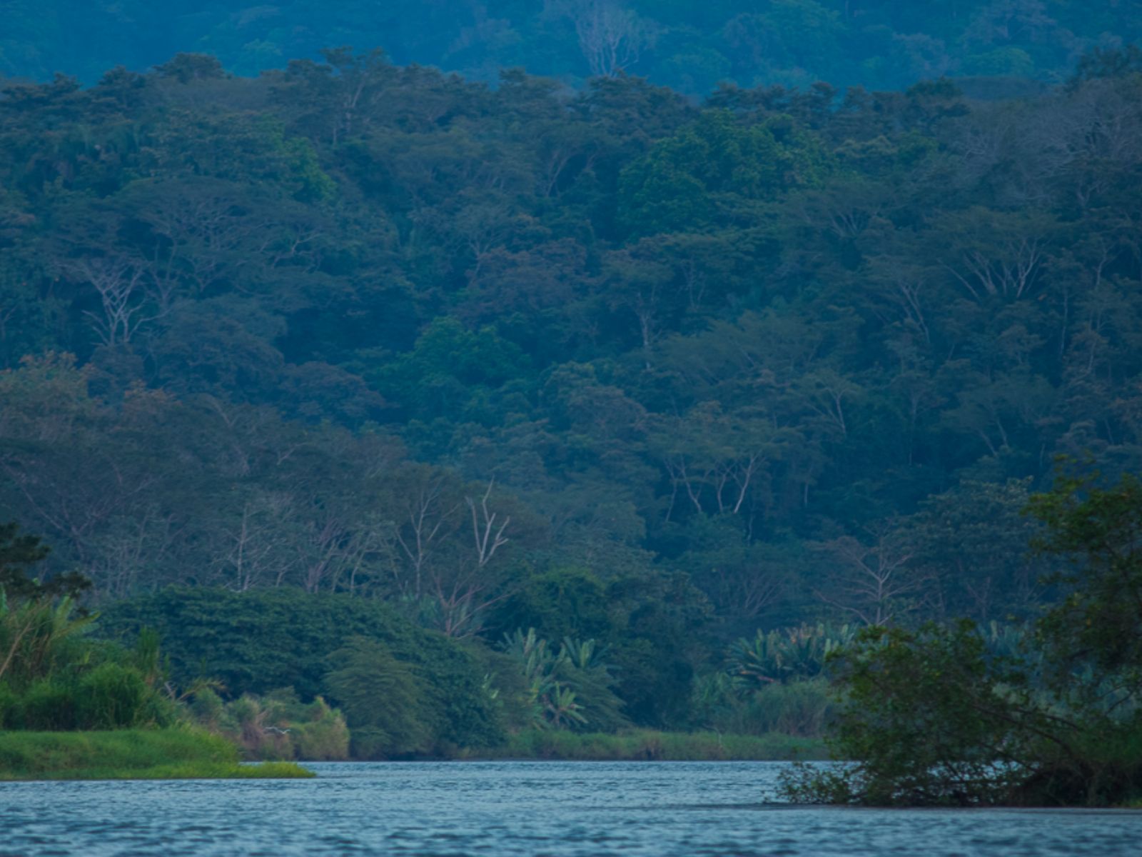 Rondreis Costa Rica, Carara NP, rivier
