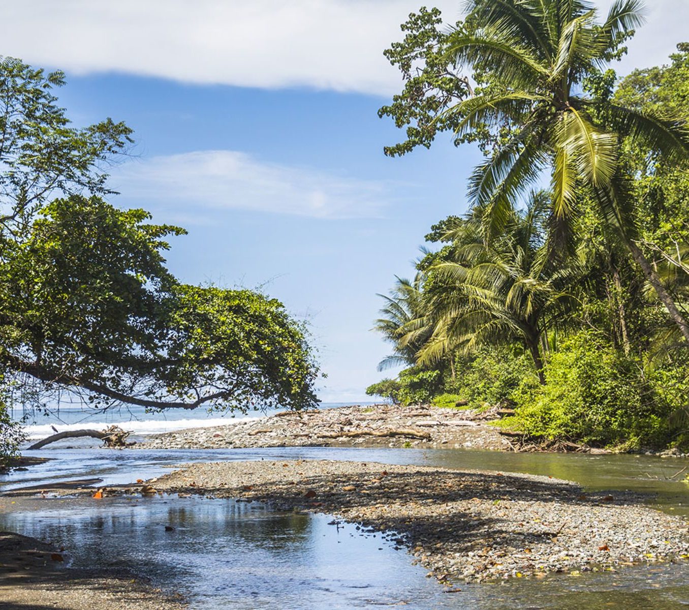 Rondreis Costa Rica, Corcovado, strand inham