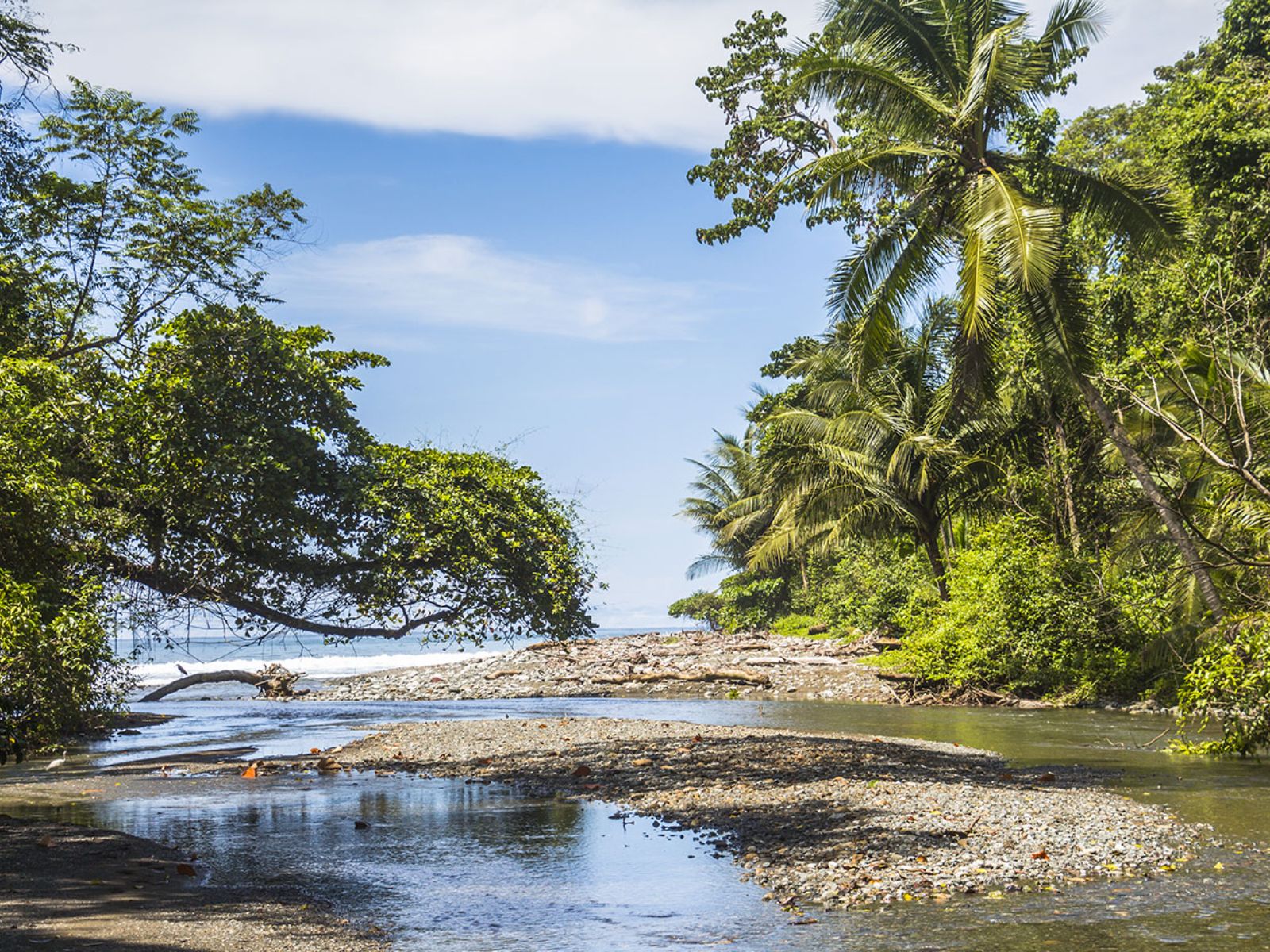 Rondreis Costa Rica, Corcovado, strand inham