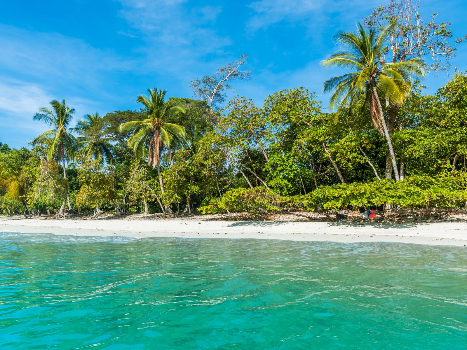 Rondreis Costa Rica, Manuel Antonio, strand en zee vanaf zee