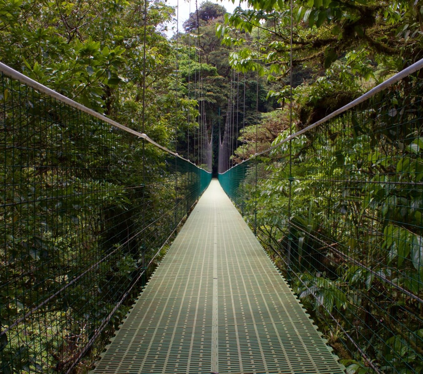 Rondreis Costa Rica, Monteverde, brug door het regenwoud