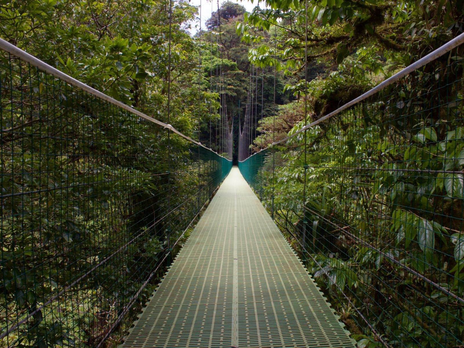 Rondreis Costa Rica, Monteverde, brug door het regenwoud