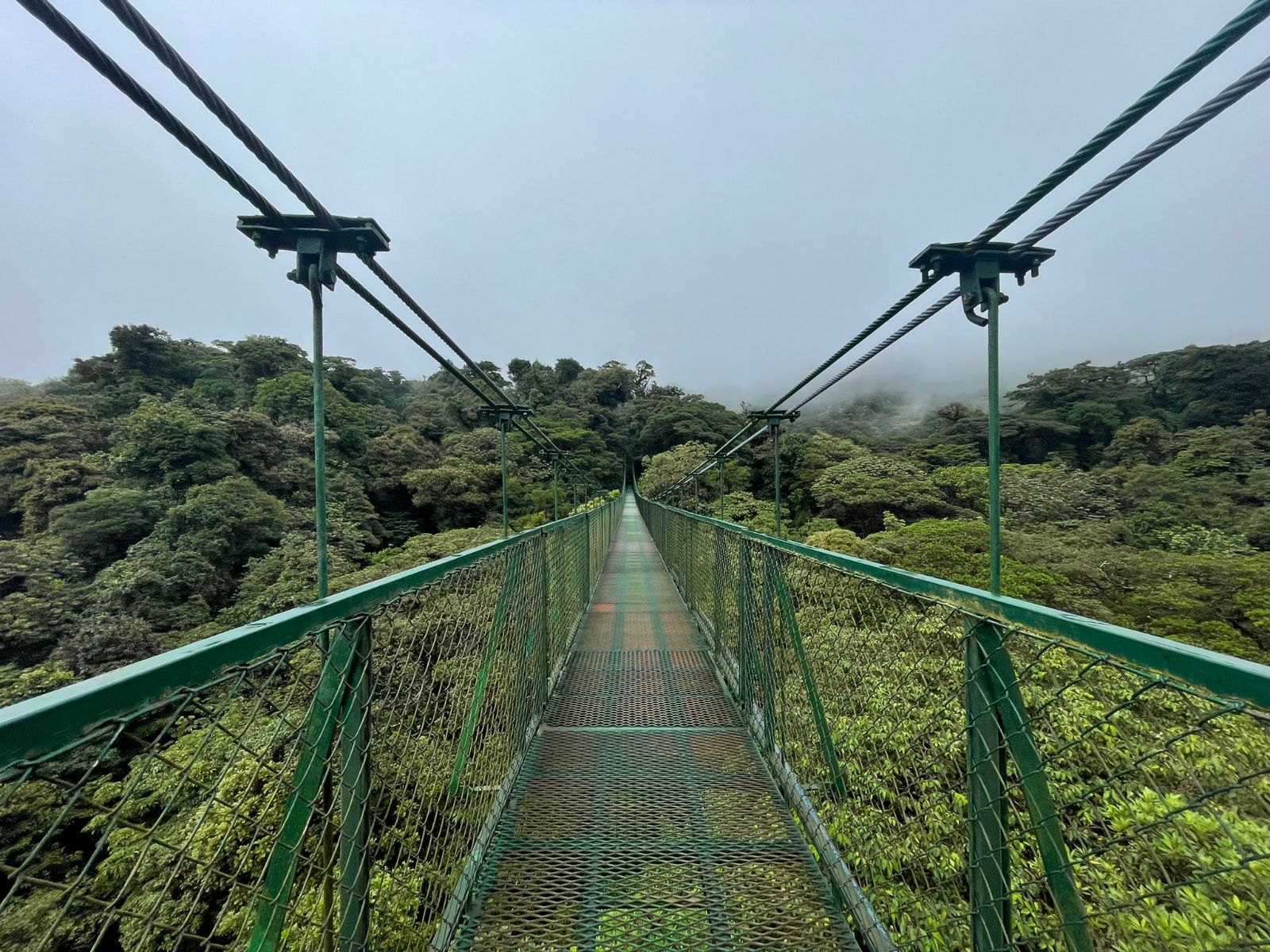 Rondreis Costa Rica, Monteverde, brug over het regenwoud