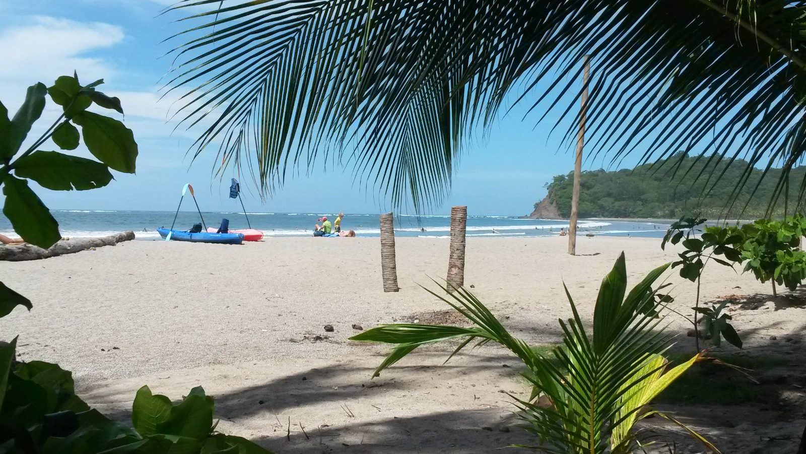 Rondreis Costa Rica, Samara, strand met kleine planten