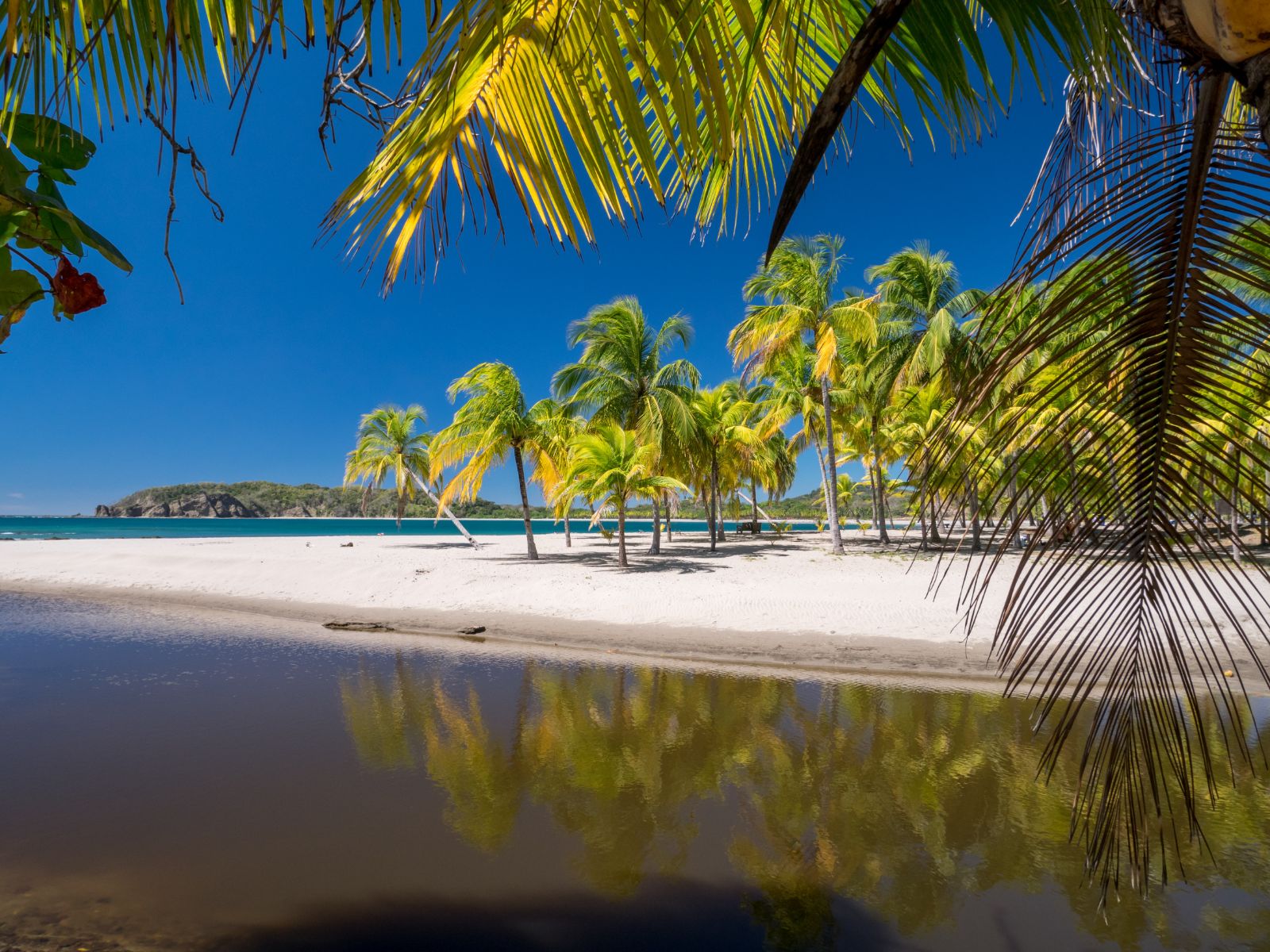 Rondreis Costa Rica, Sámara, strand met palmbomen