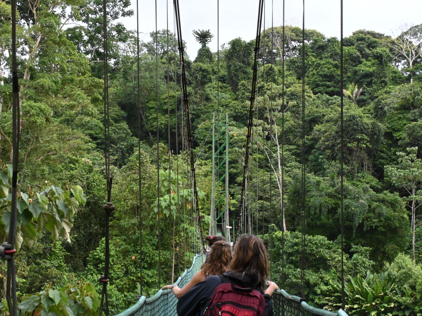 Rondreis Costa Rica, Sarapiqui, hangbrug met mensen