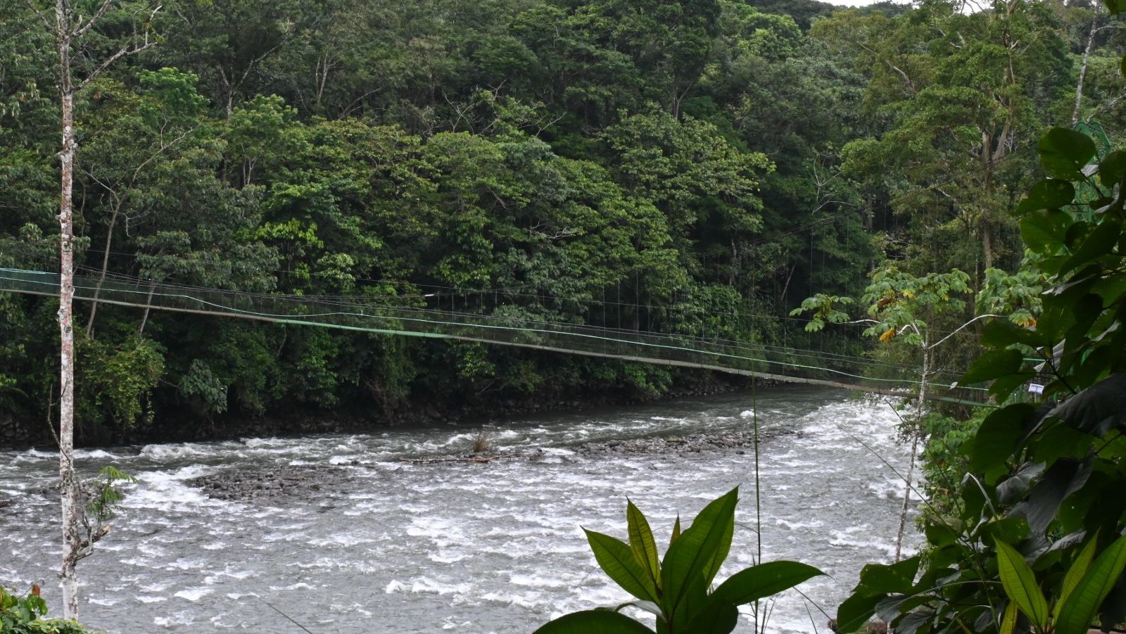 Rondreis Costa Rica, Sarapiqui, Rivier met loopbrug