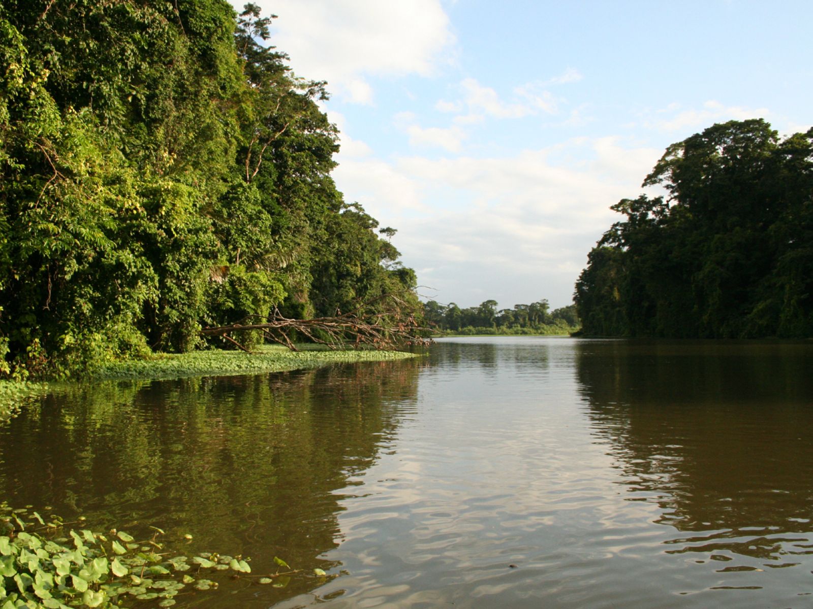 Rondreis Costa Rica, Tortuguero, meer