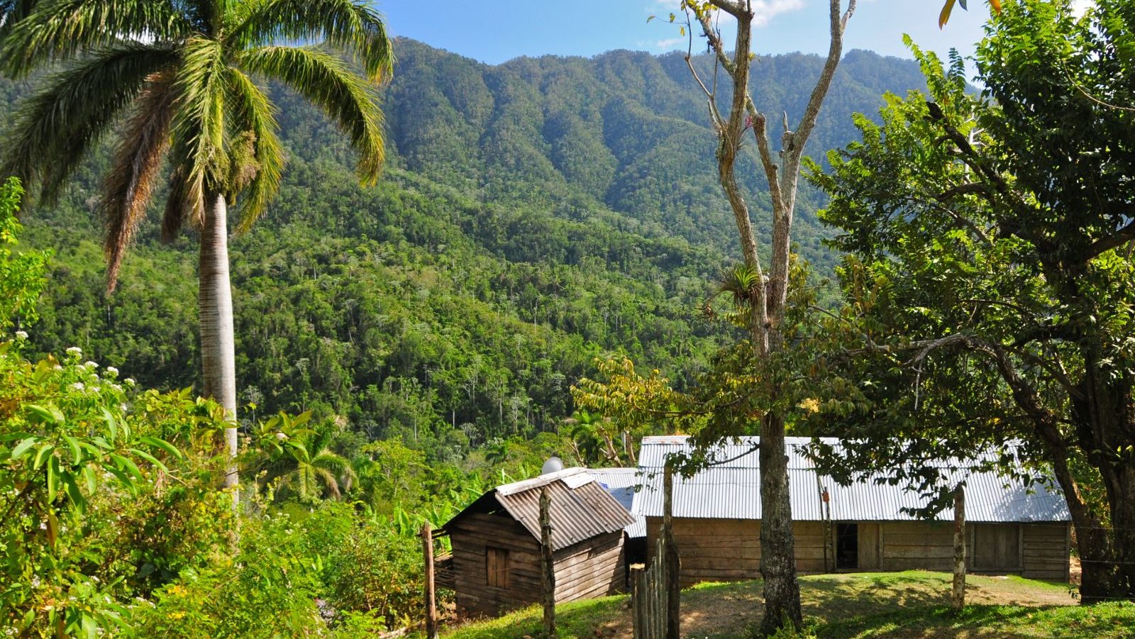 Ronderis Cuba, Sierra Maestra, Bergen en bos met gebouw op voorgrond