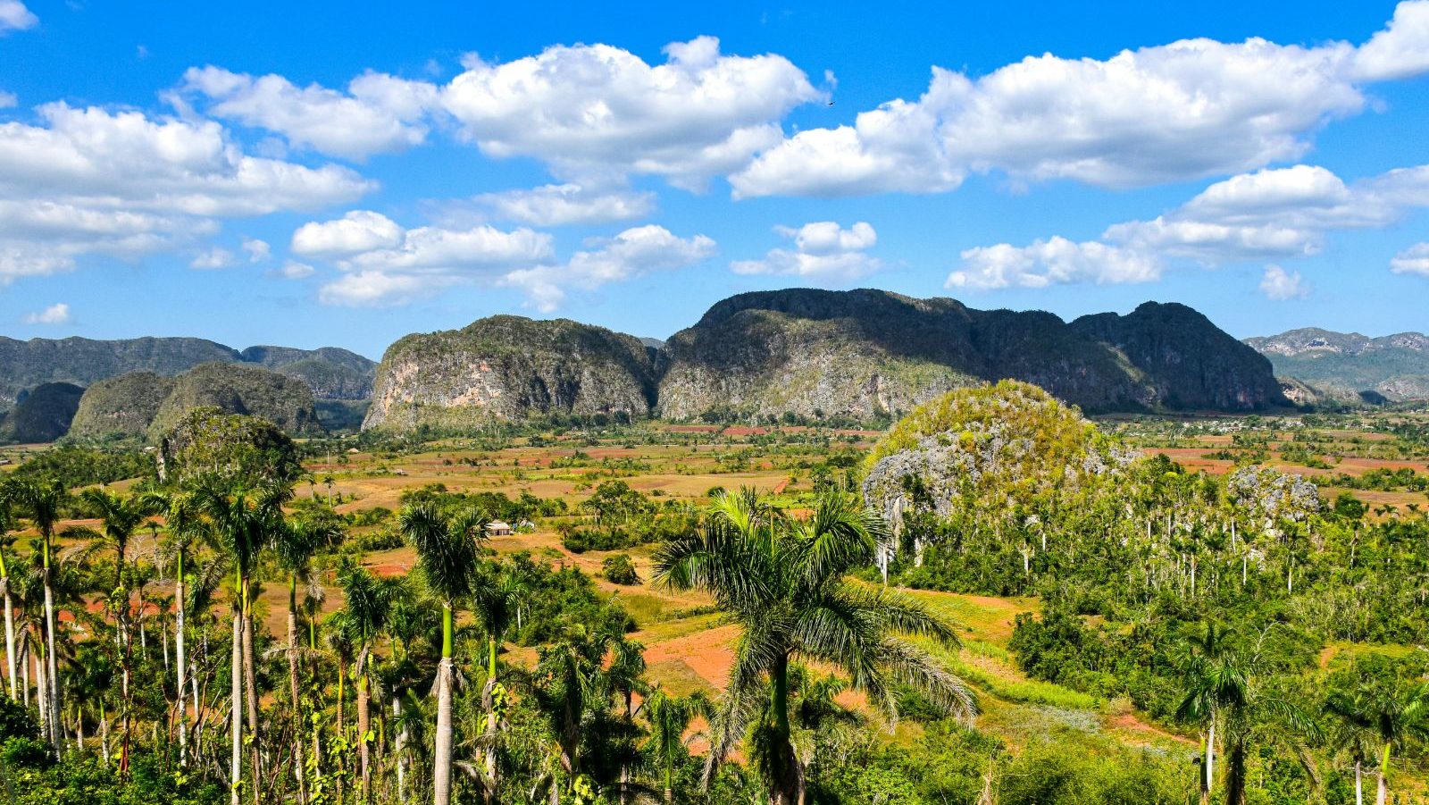 Rondreis Cuba, Vinales, Vallei met bomen aan de linkerzijde
