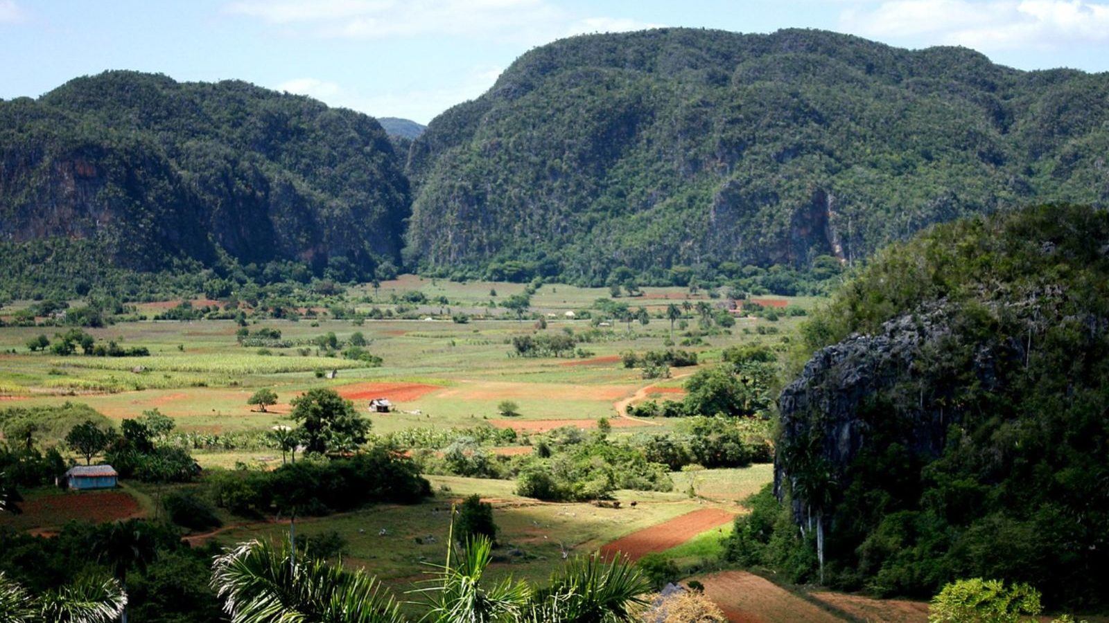 Rondreis Cuba, Vinales Vallei, met tabakvelden