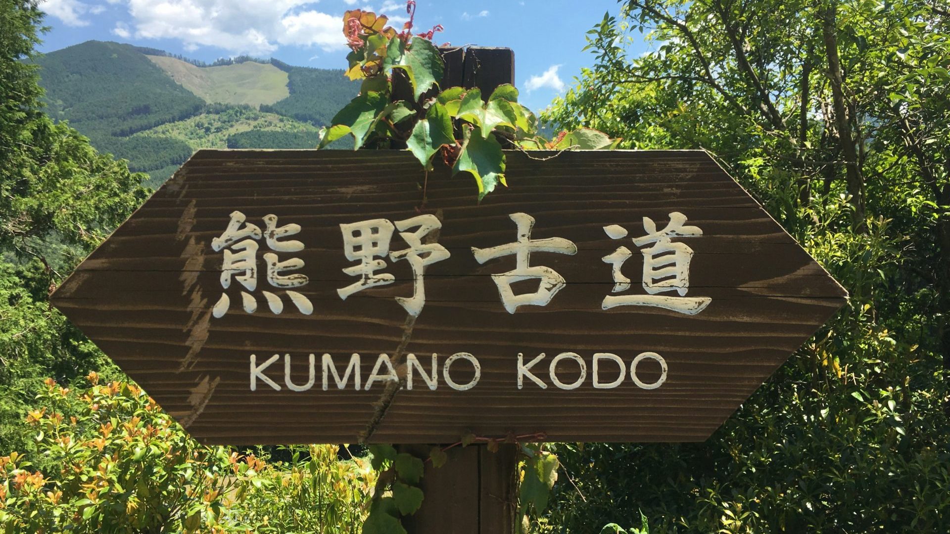 Rondreis Japan, Kumano Kodo, bord