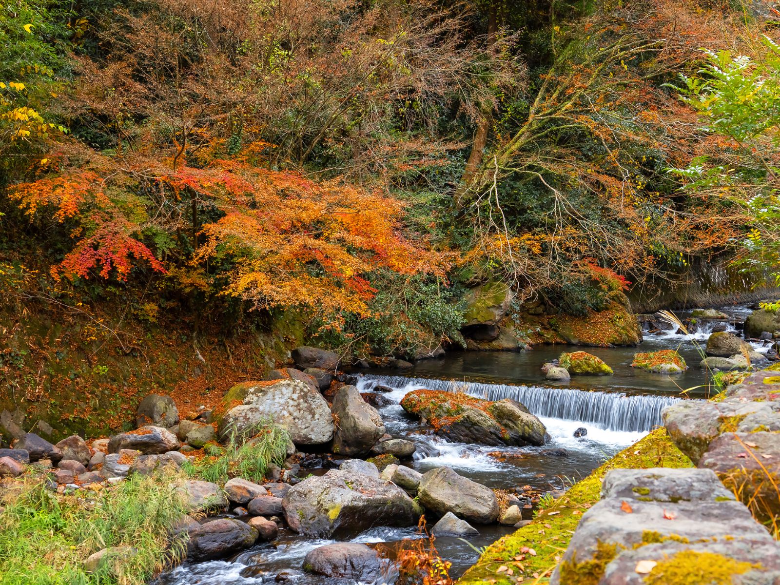 Rondreis Japan, Kurokawa Onsen, Chikugo rivier