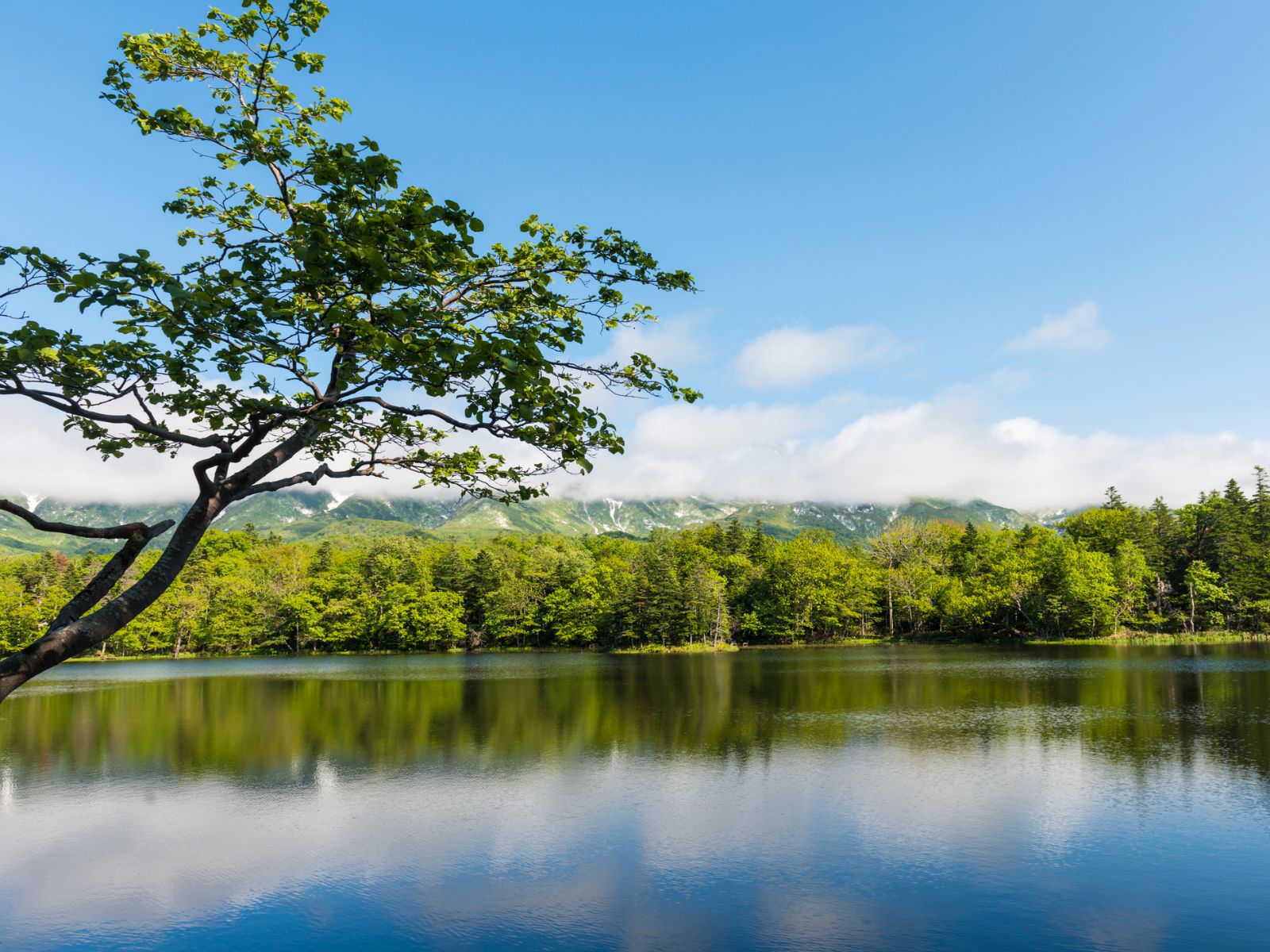 Rondreis Japan, Shiretoko National Park, 5 meren