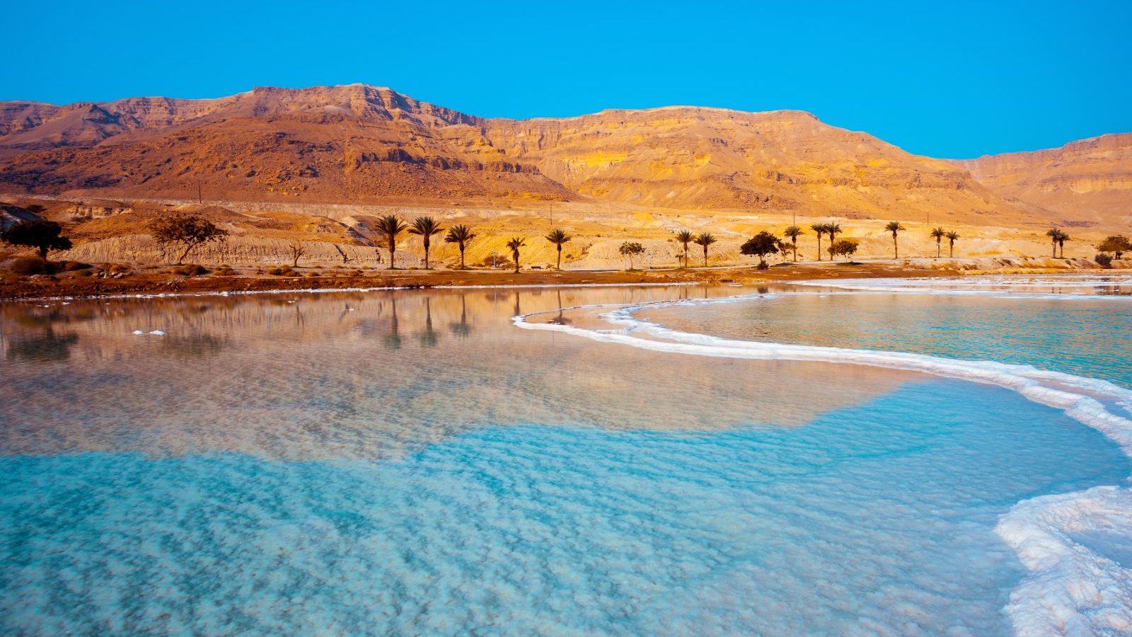 Rondreis Jordanië, Dead Sea, Palmbomen op de achtergrond