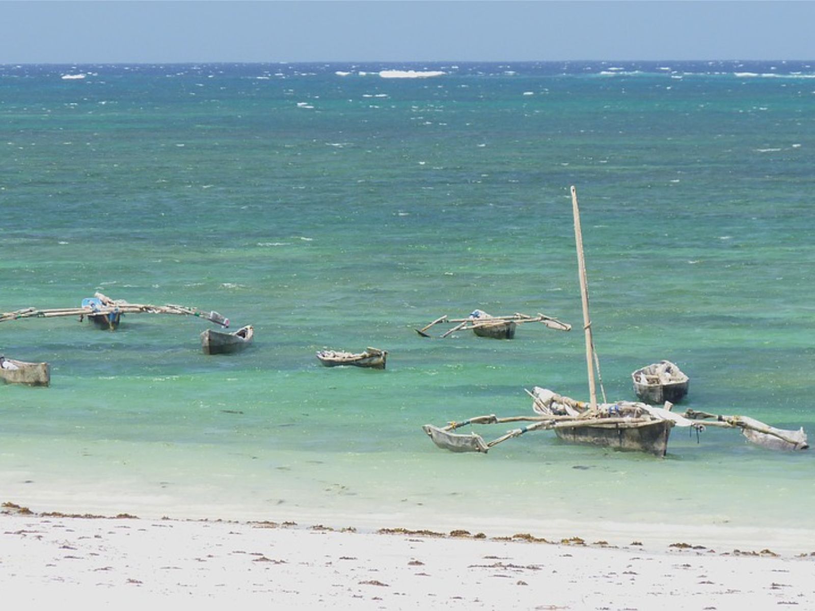 Rondreis Kenia, Diani Beach, boten