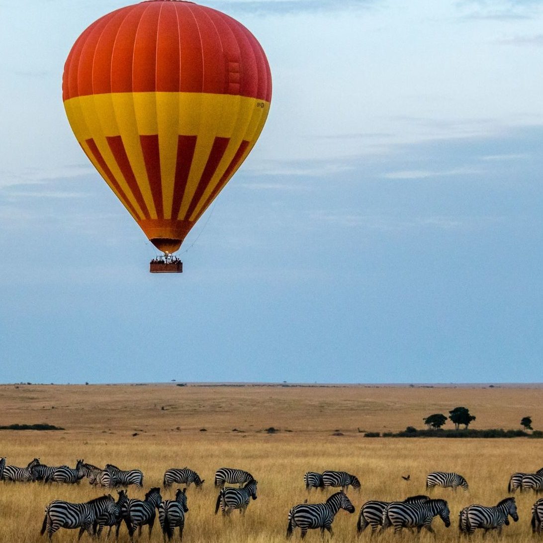 Rondreis Kenia, Masai Mara, groep zebra's met luchtballon