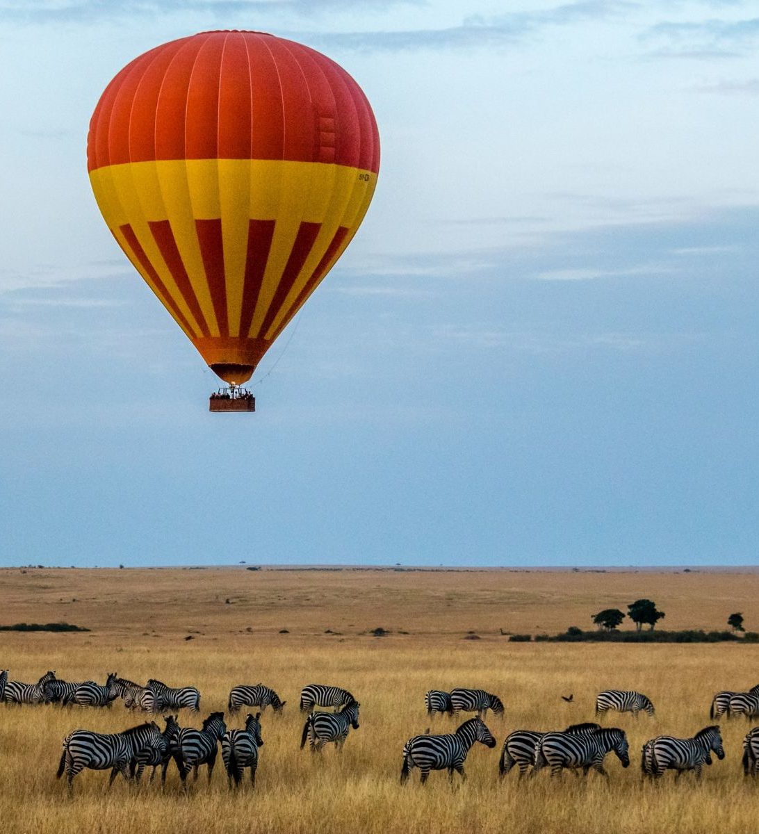 Rondreis Kenia, Masai Mara, groep zebra's met luchtballon