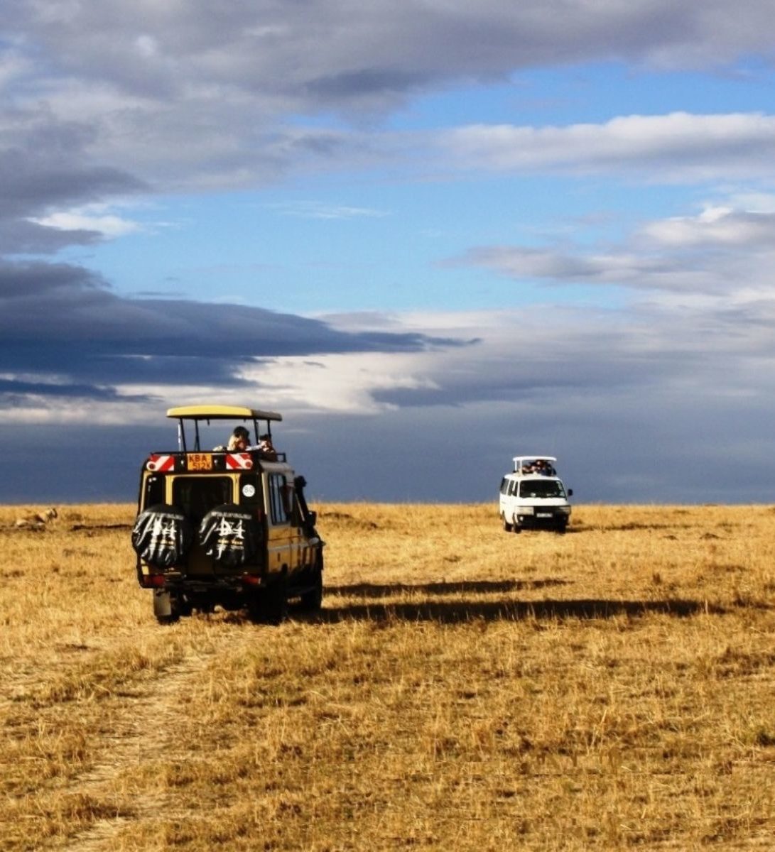 Rondreis-Kenia-Masai-Mara-safari-auto-aspect-ratio-382-420