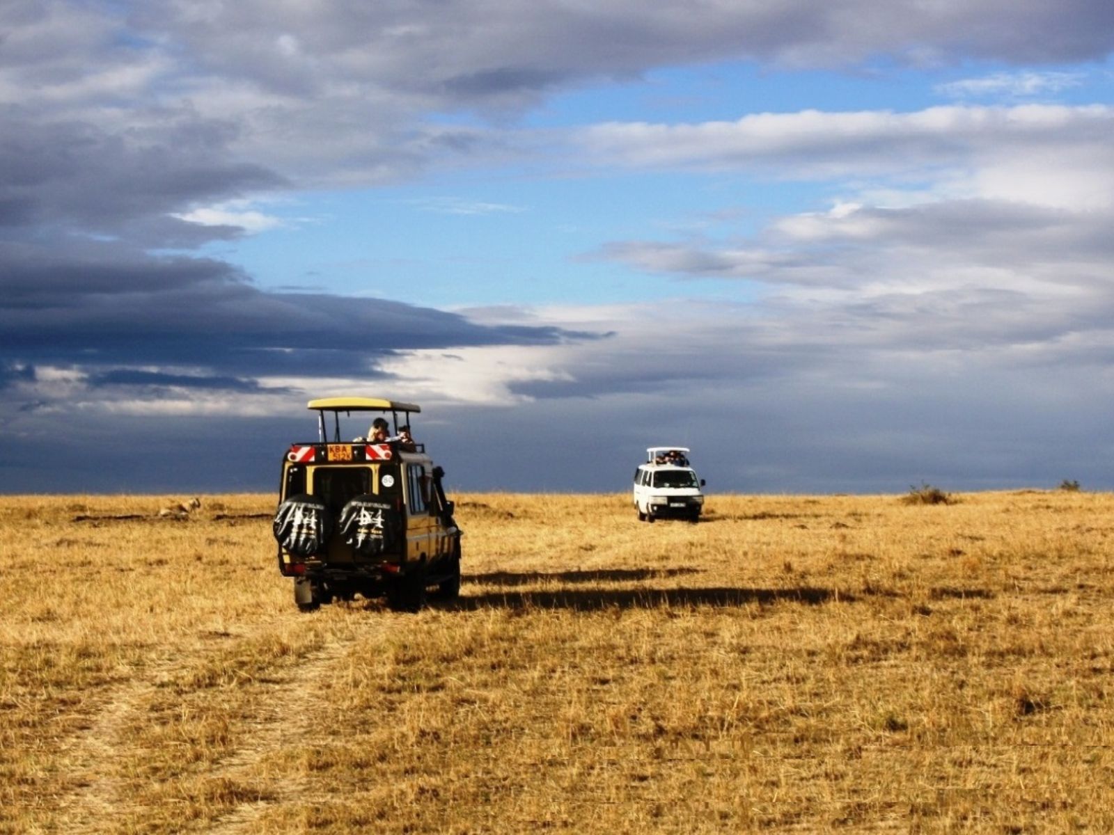 Rondreis Kenia, Masai Mara, safari auto
