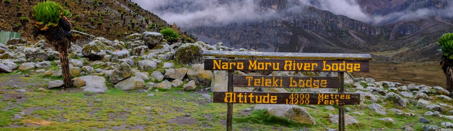 Rondreis Kenia, Naro Moru, Hiking Trail met bordje met hoogte
