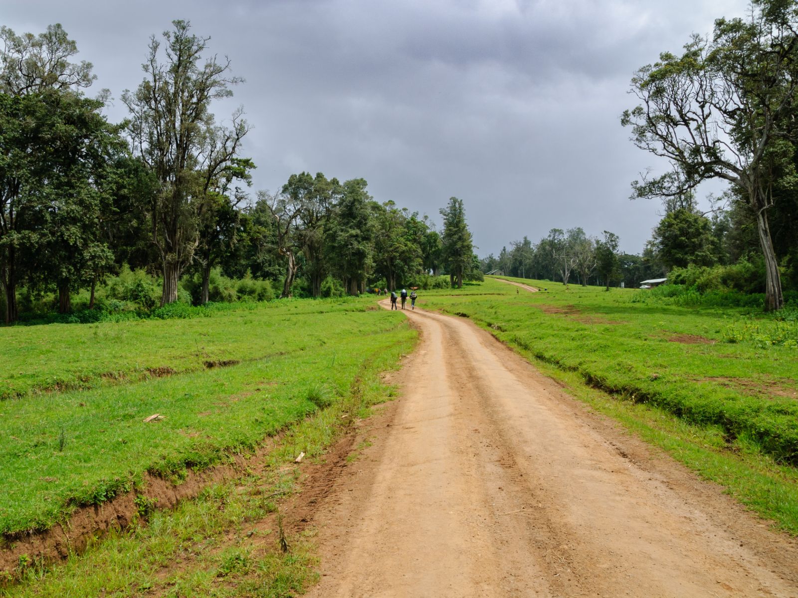 Rondreis Kenia, Naro Moru, Hiking Trail met drie personen op pad