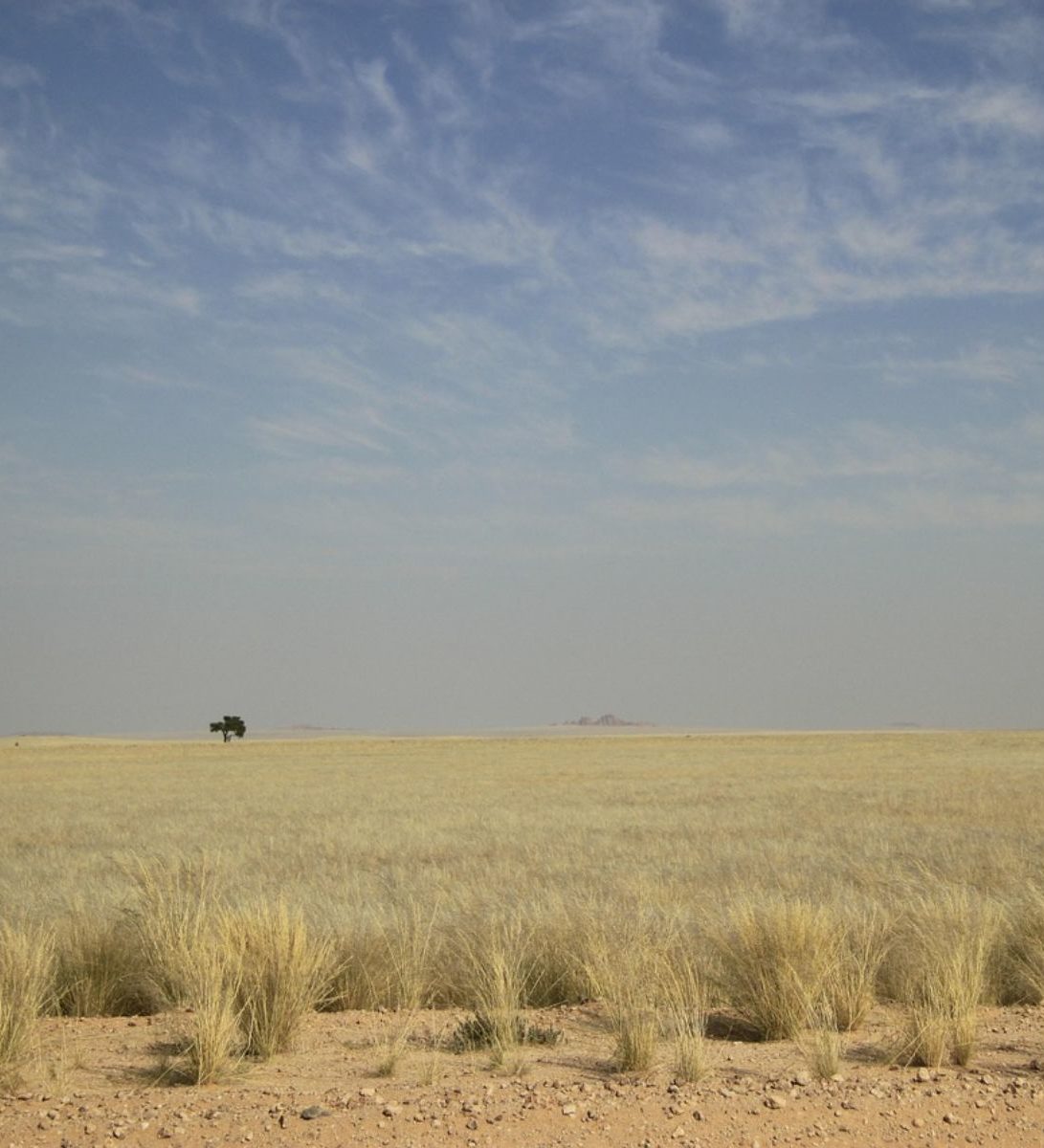 Rondreis Namibië, Central Kalahari Game Reserve, woestijn vlakte