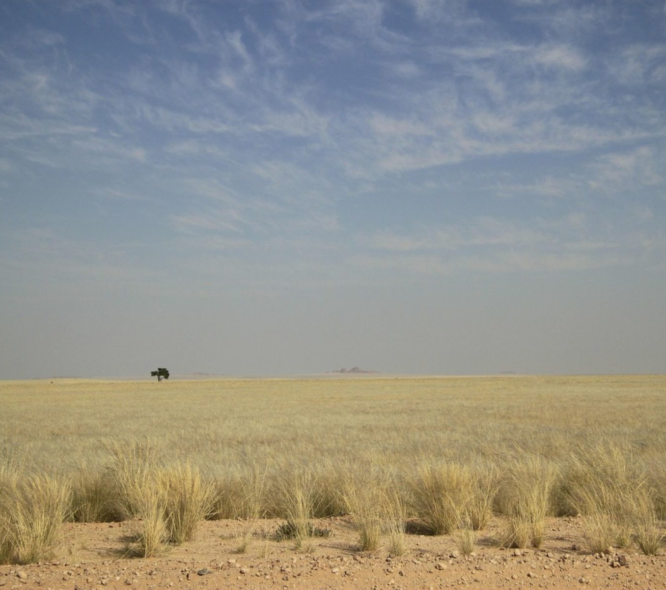 Rondreis Namibië, Central Kalahari Game Reserve, woestijn vlakte