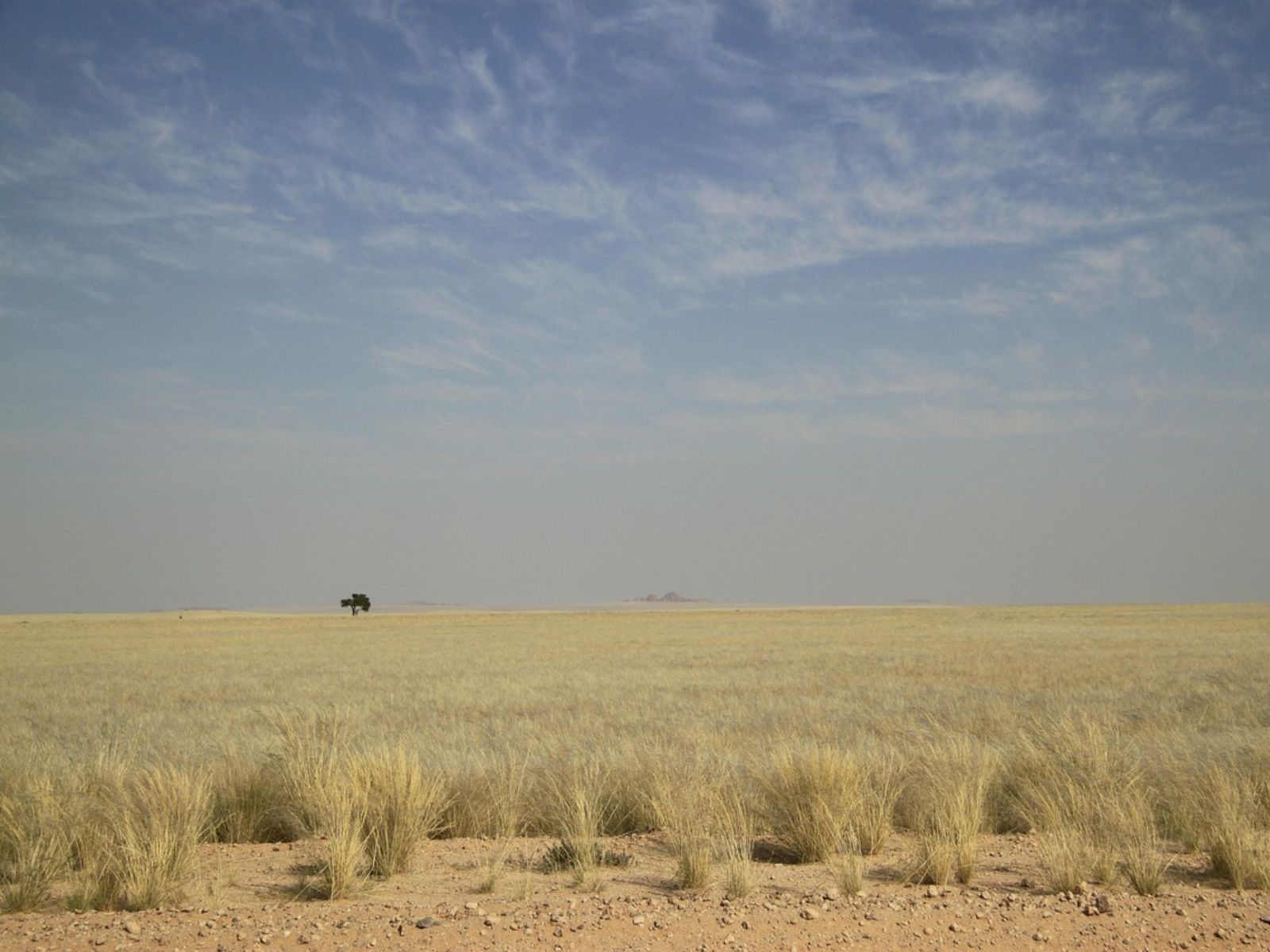 Rondreis Namibië, Central Kalahari Game Reserve, woestijn vlakte
