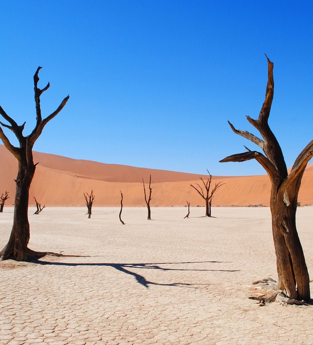 Rondreis Namibië, Dead Vlei, zandbergen met gemiddeld bomen