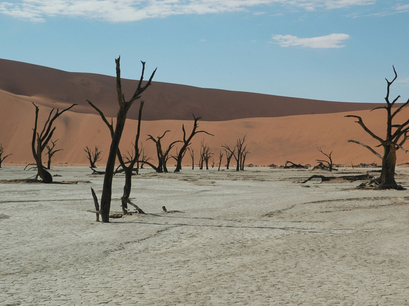 Rondreis Namibië, Dead Vlei, zandbergen met veel bomen