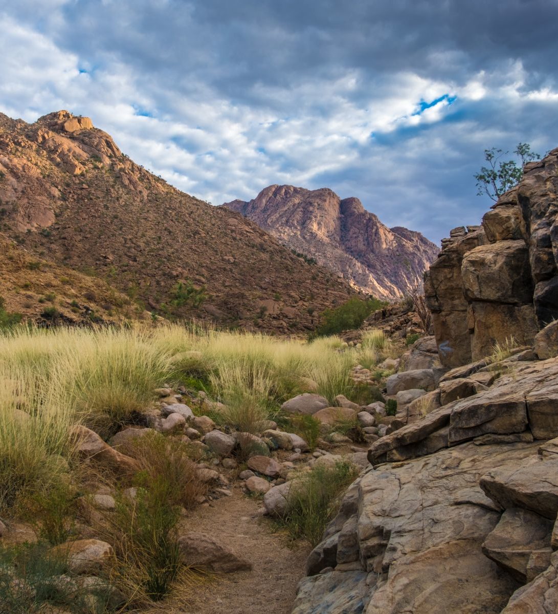 Rondreis Namibië, Erongo Mountains, Brandberg, landschap