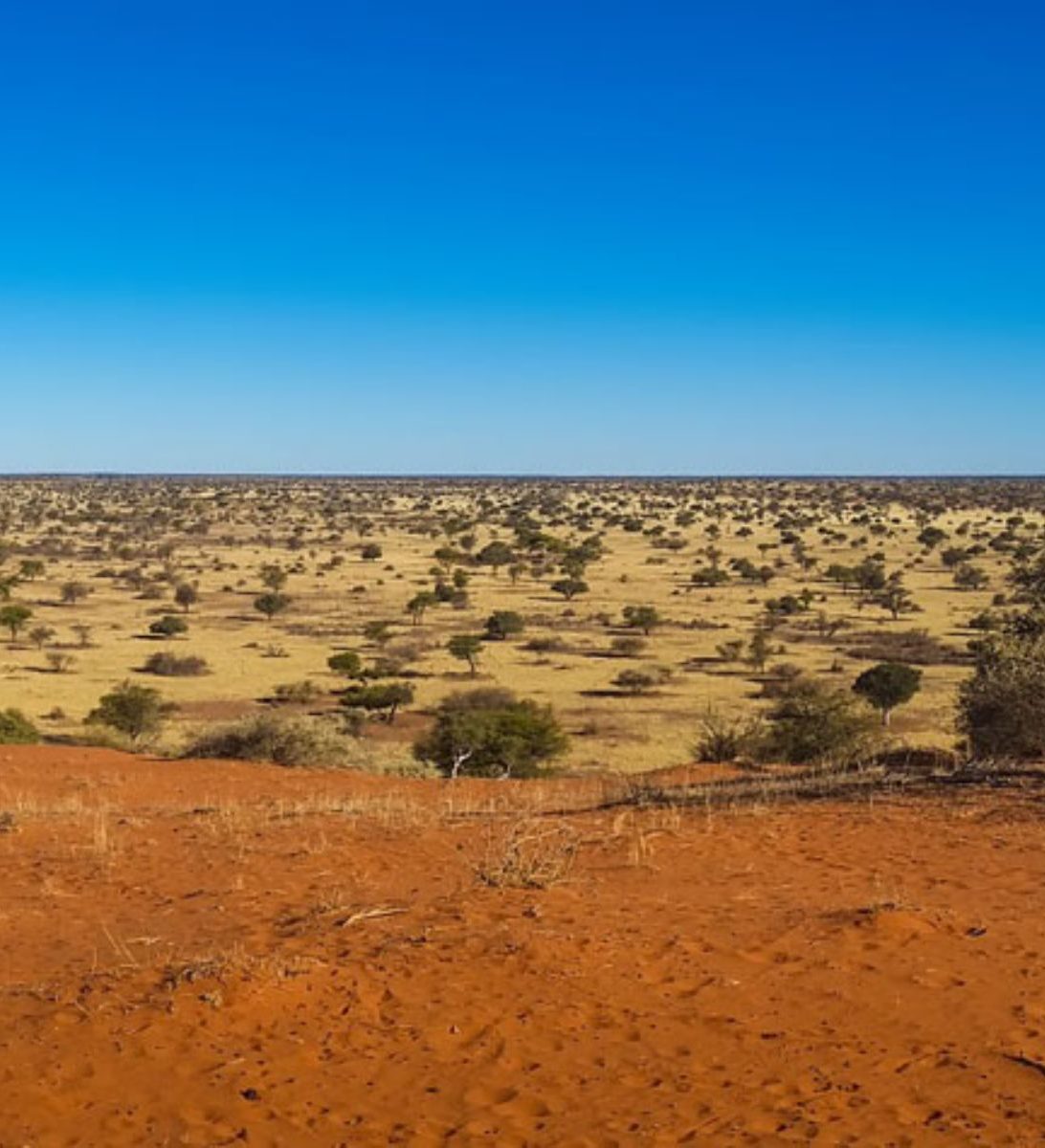 Rondreis Namibië, Kalahari, vallei