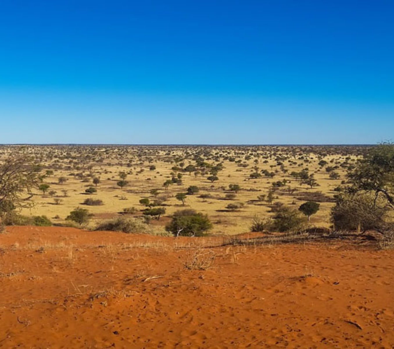 Rondreis Namibië, Kalahari, vallei