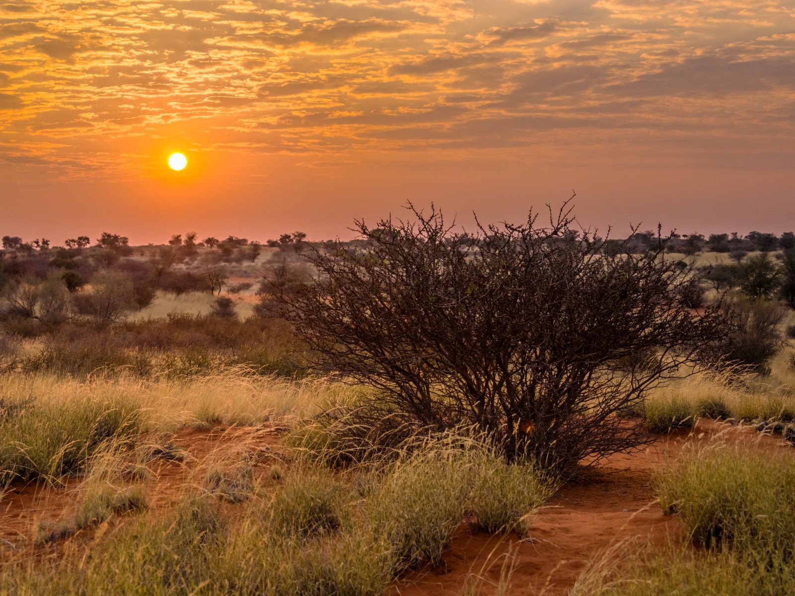 Rondreis Namibië, Kalahari, vallei zonsopkomst