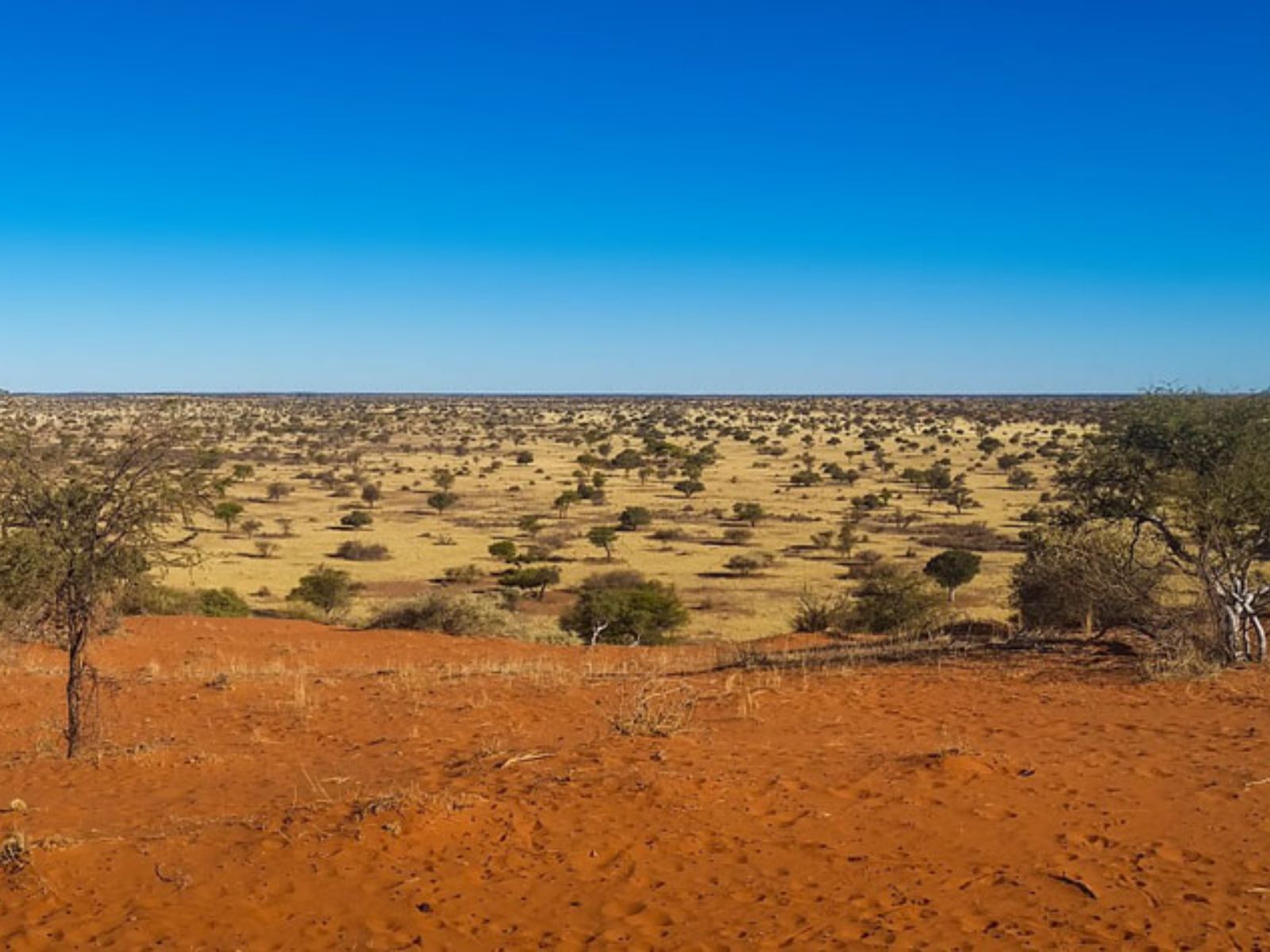 Rondreis Namibië, Kalahari, vallei