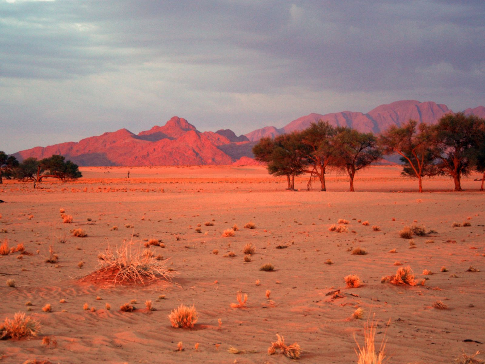 Rondreis Namibië, Sossusvlei, vallei en bergen zonsondergang