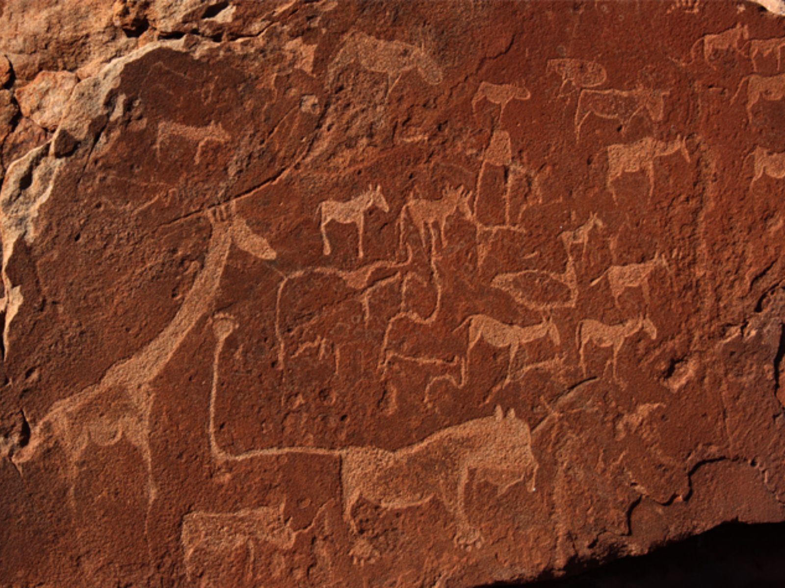 Rondreis Namibië, Twyfelfontein, muurschildering