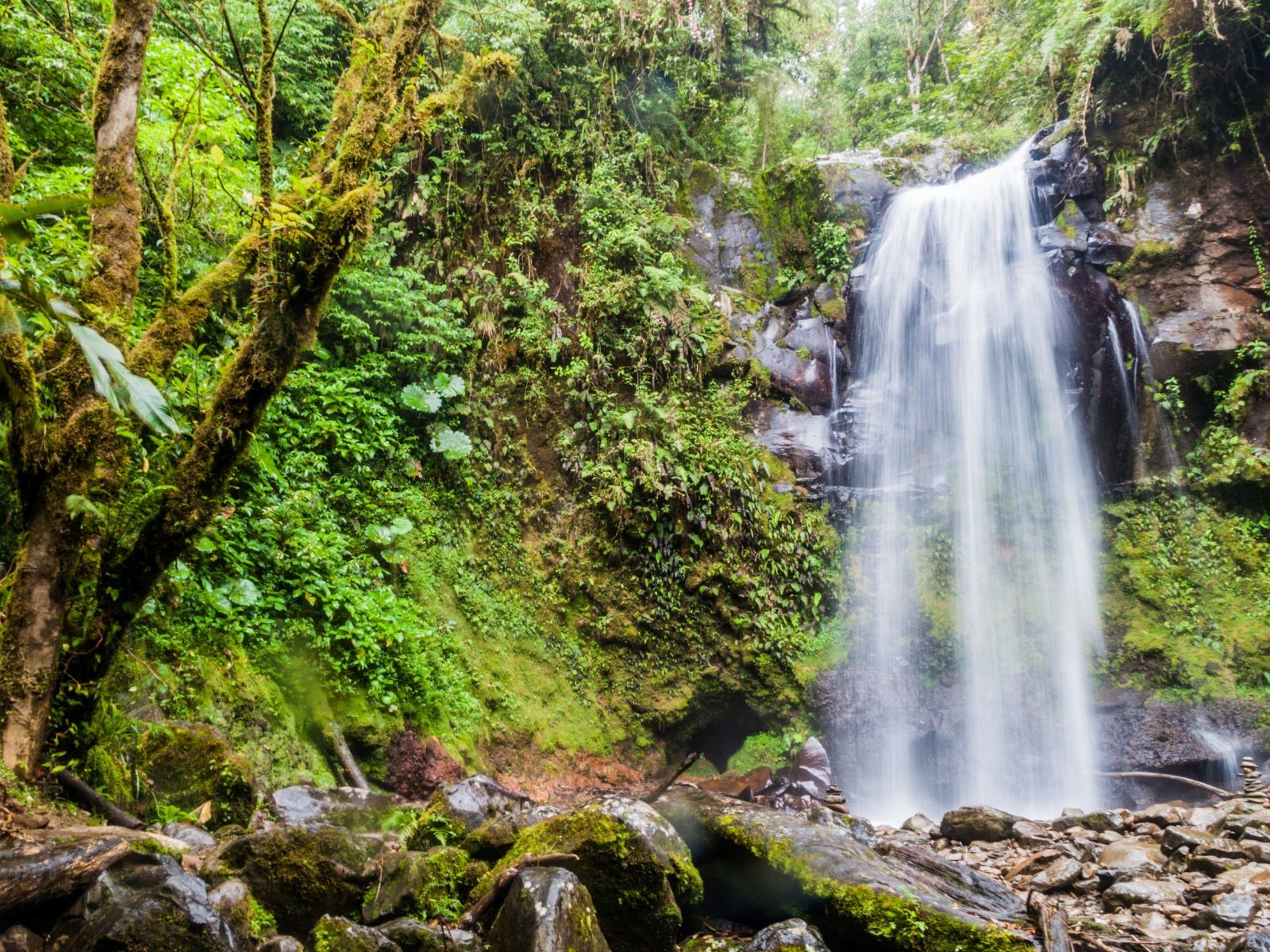 Rondreis Panama, Boquete, waterval