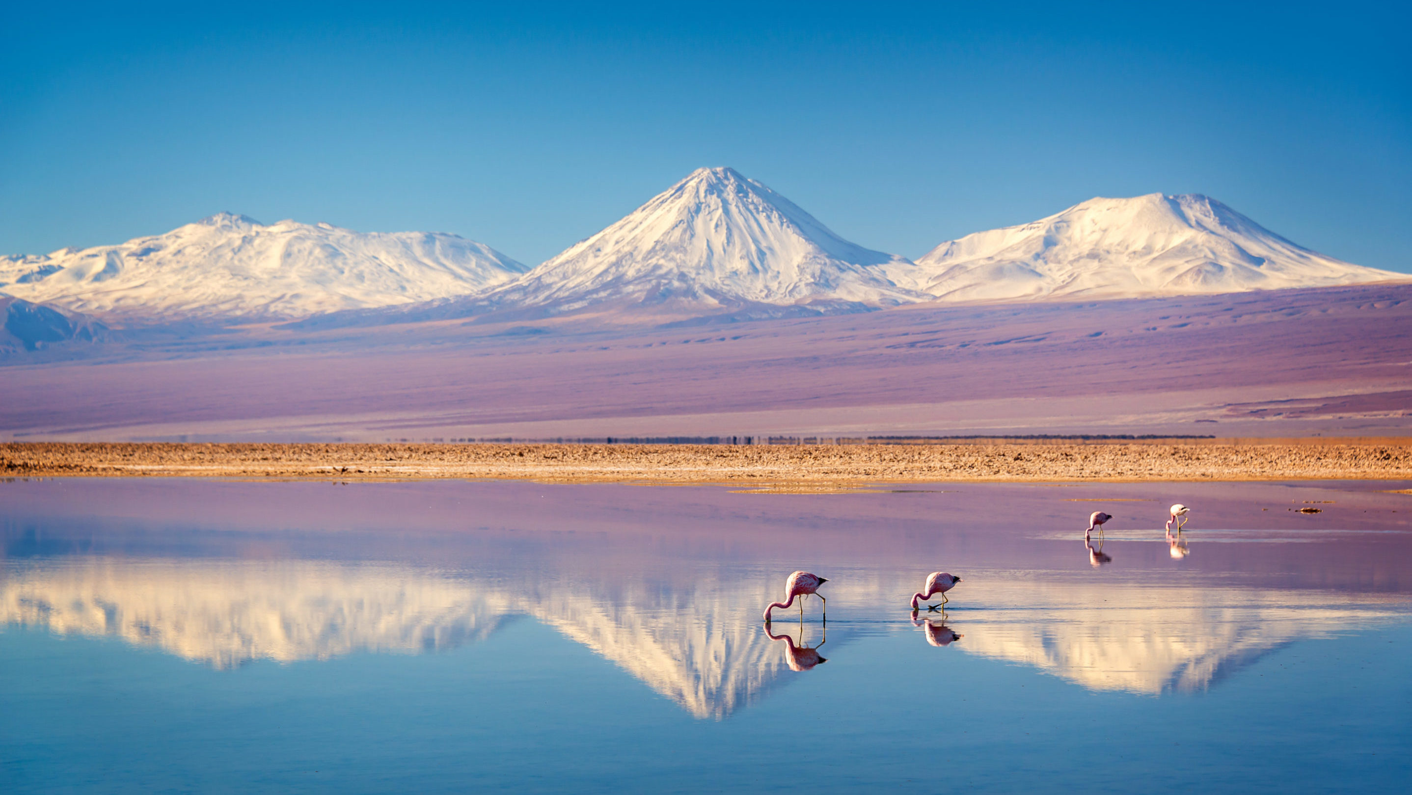 rondreis chili san pedro de atacama salt flats
