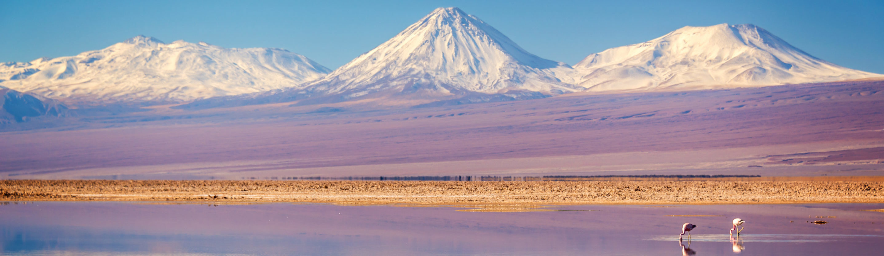 Rondreis Chili, San Pedro de Atacama, Flamingo's en bergen