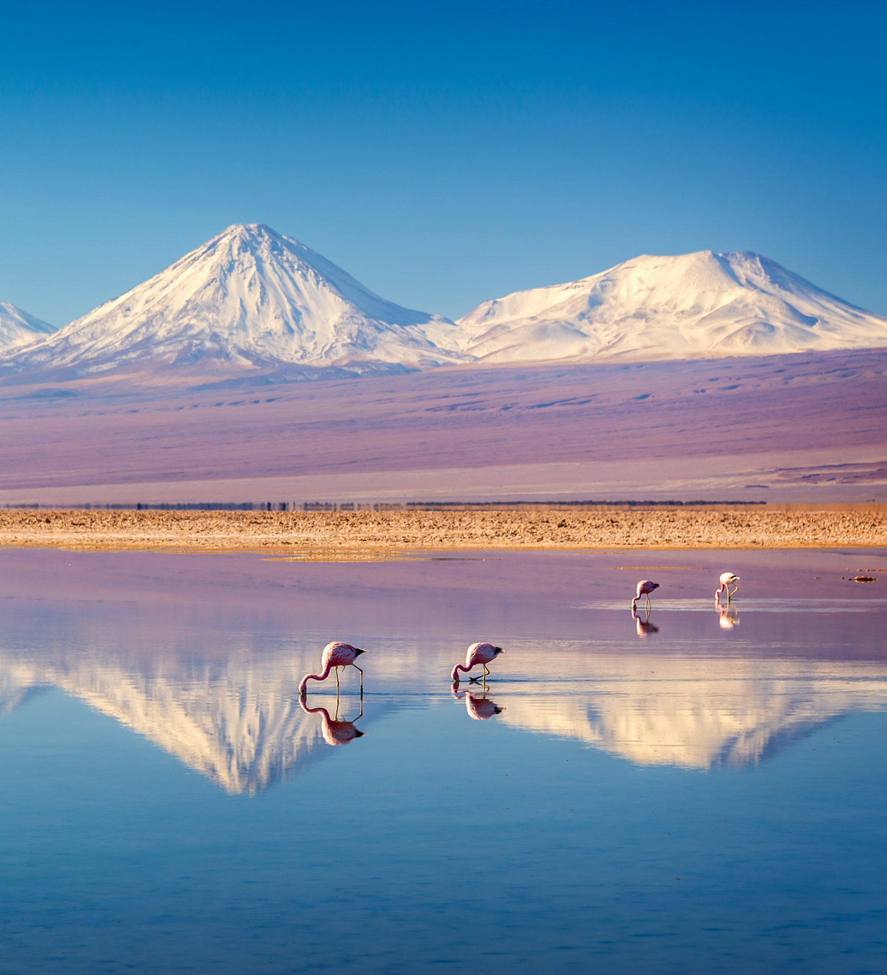 iStock-1160961085-aspect-ratio-382-420