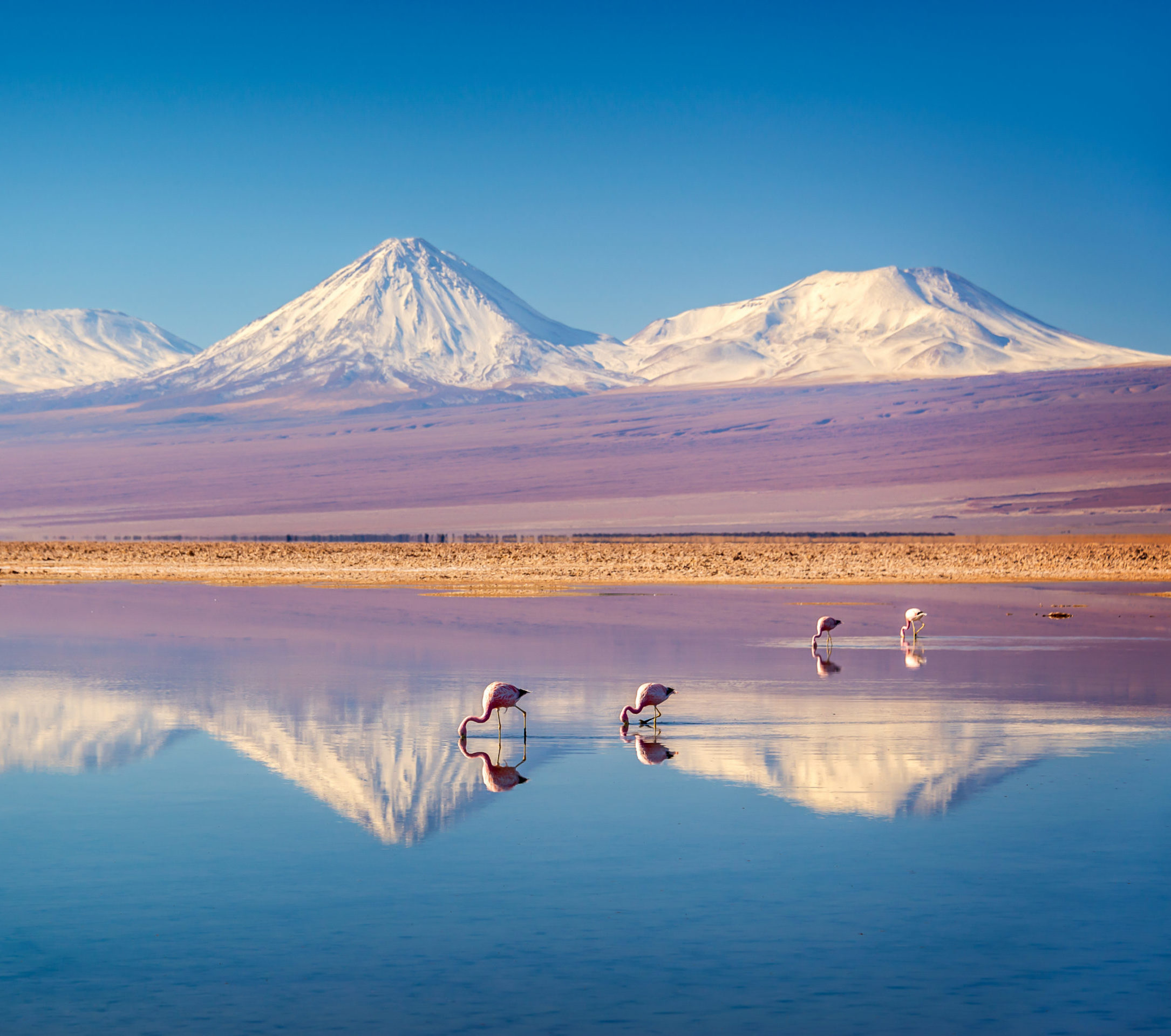 san pedro de atacama - rondreis chili