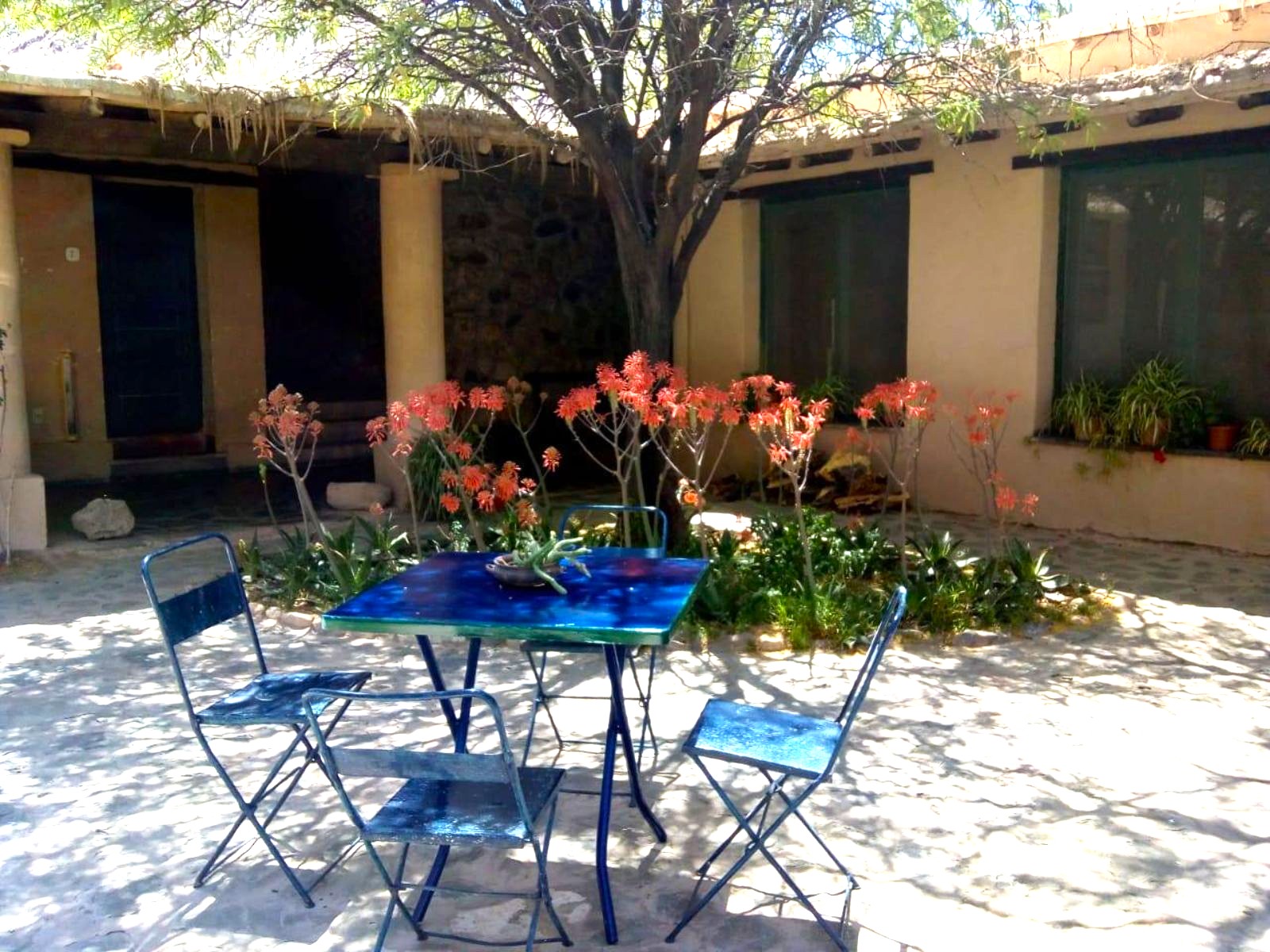 rondreis argentinie cachi finca la paya hotel 2