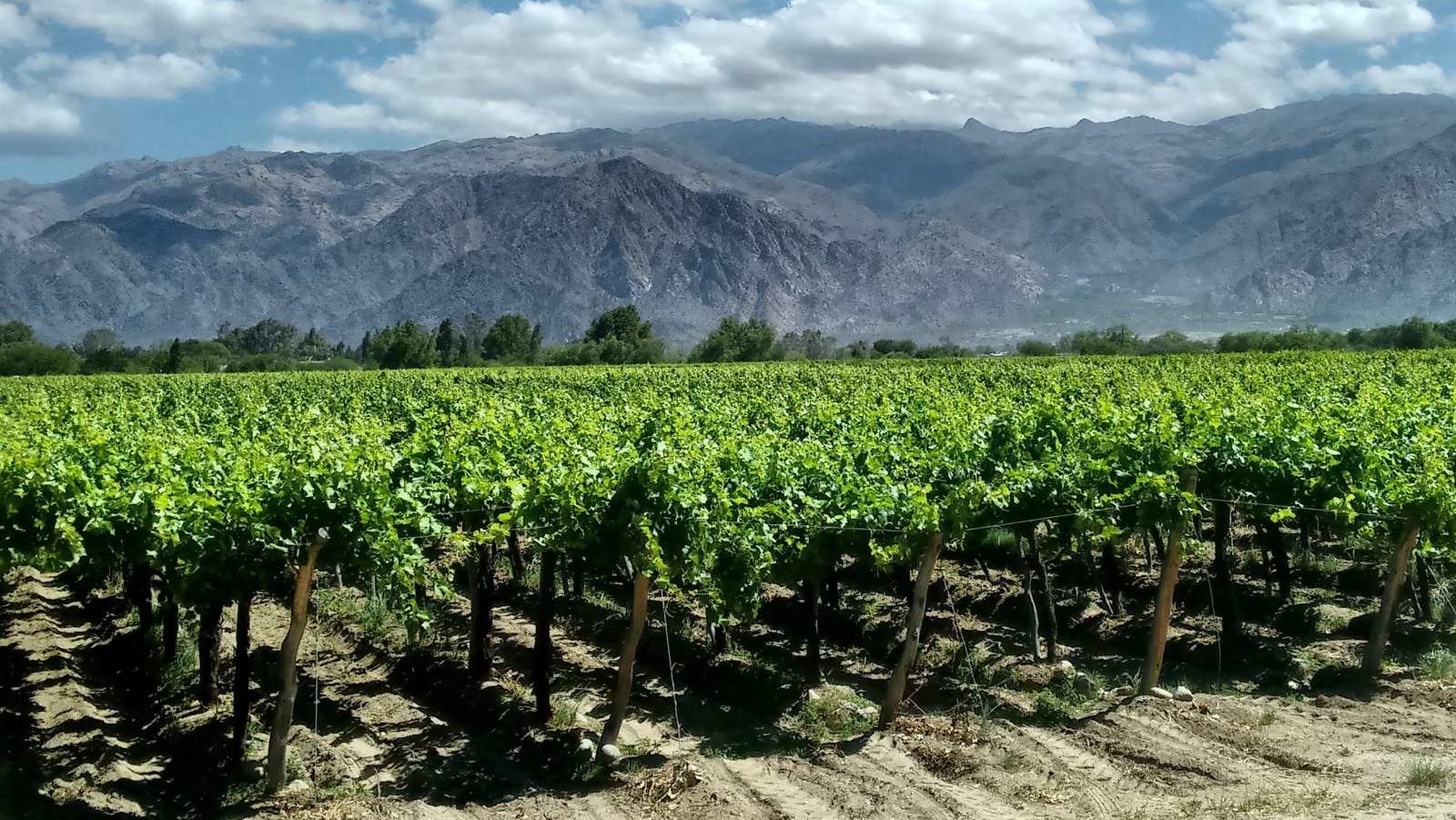 rondreis argentinie cafayate, zicht vanaf links