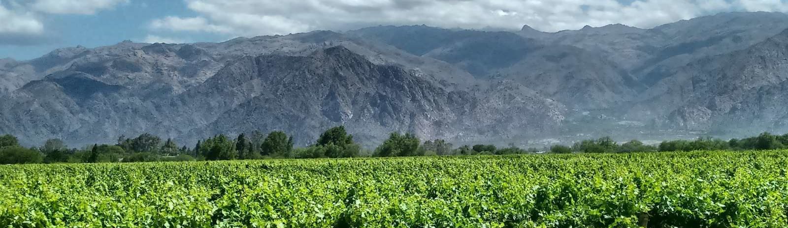 rondreis-argentinie-cafayate-hoogtepunt-10-aspect-ratio-1512-438